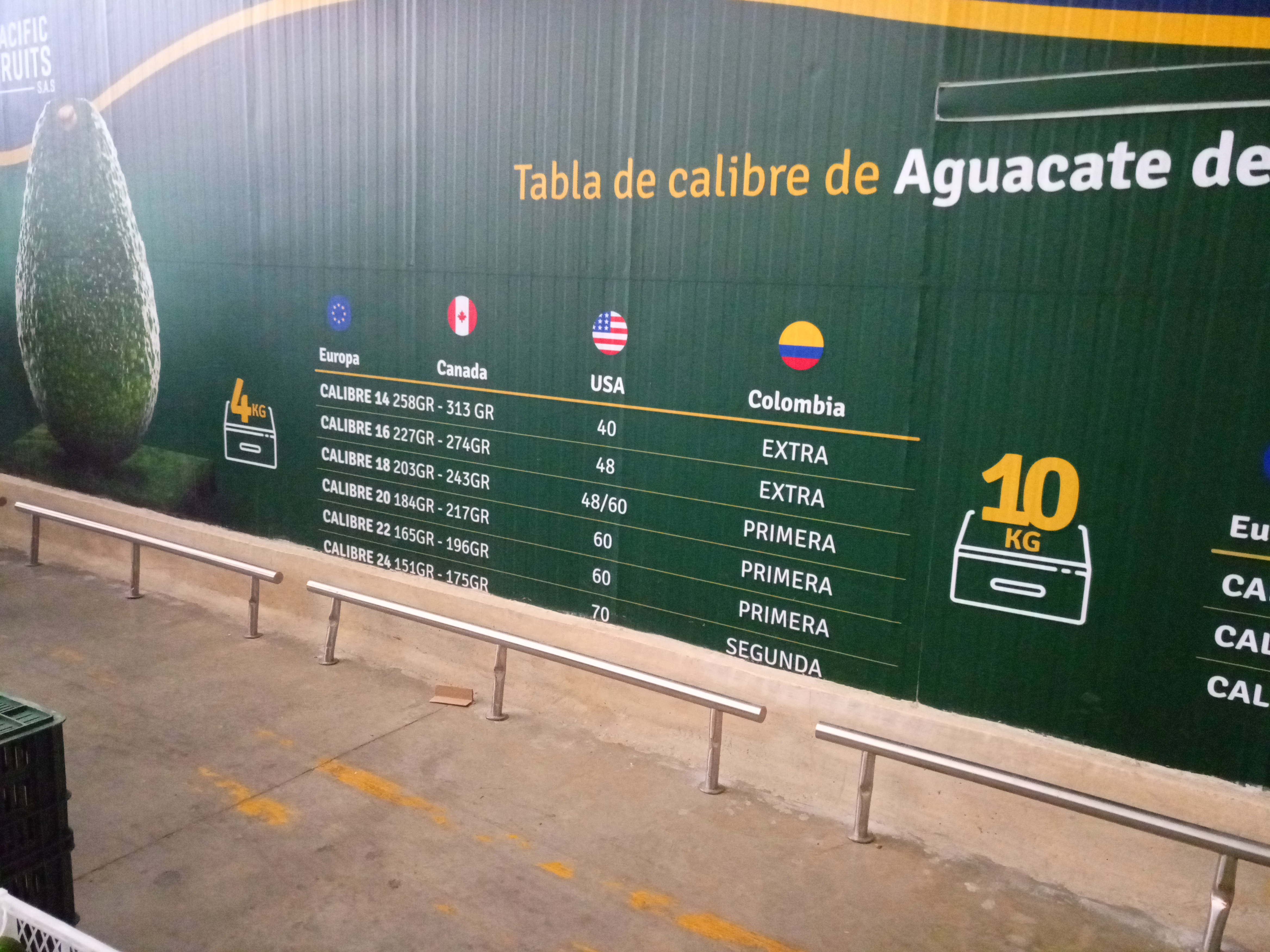 Fruta fresca Dorado División